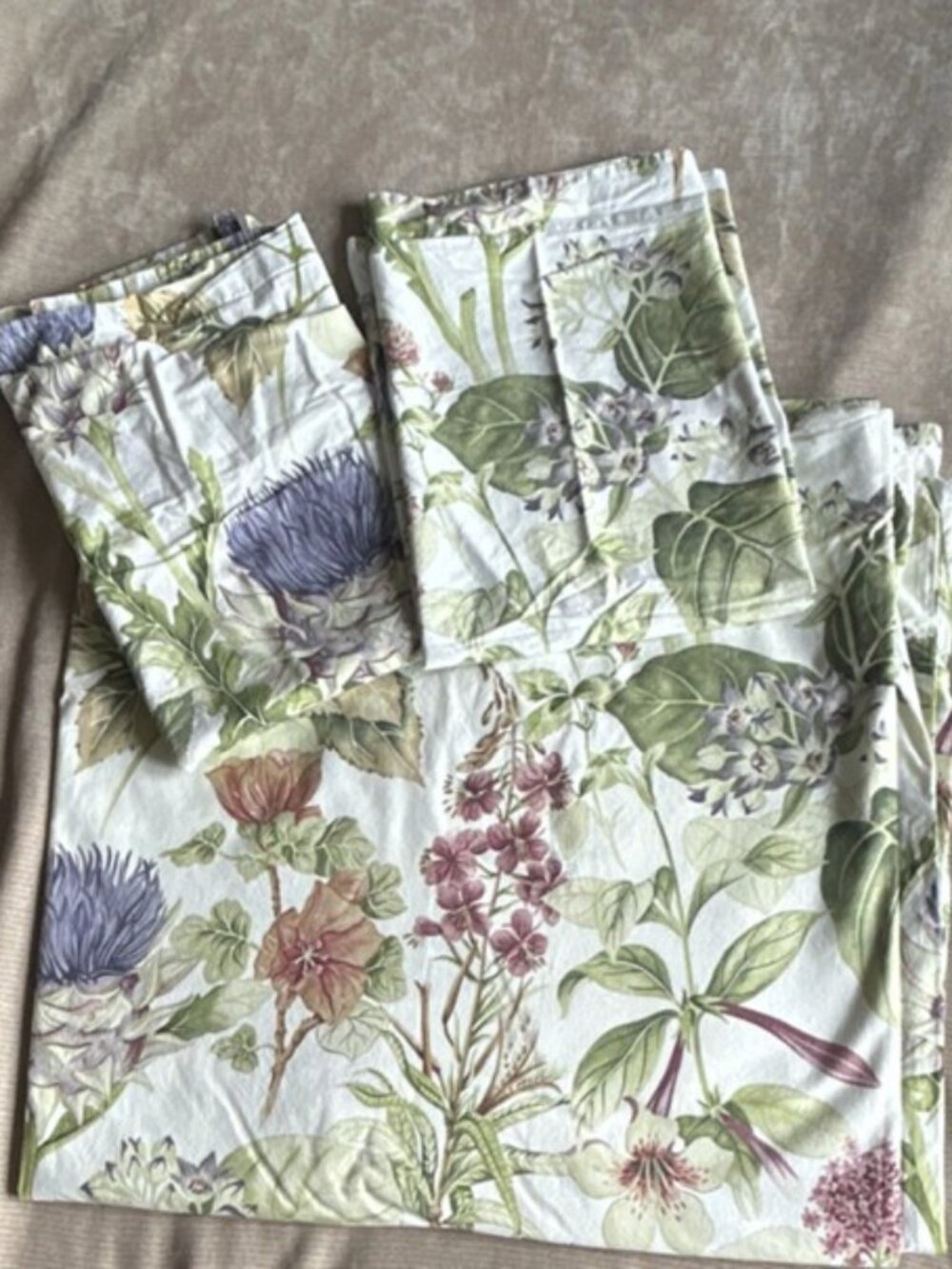 Pottery Barn Thistle Floral Percale Duvet Cover Full/Queen. 2 Euro Shams - Picture 2 of 6